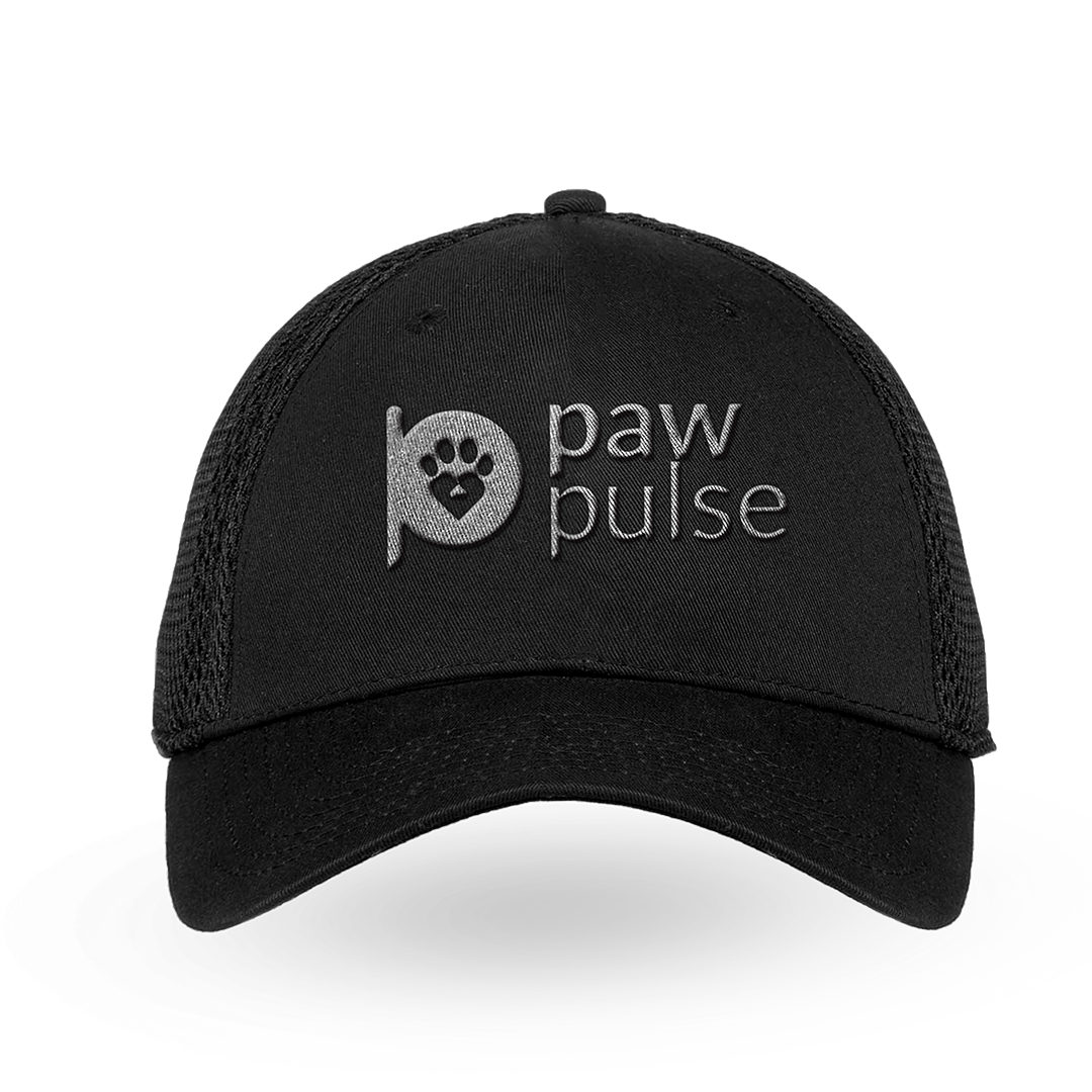 Black cap with a silver embroidered logo on the front panel